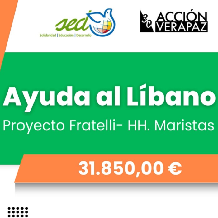 Informe de la Ayuda al Líbano
