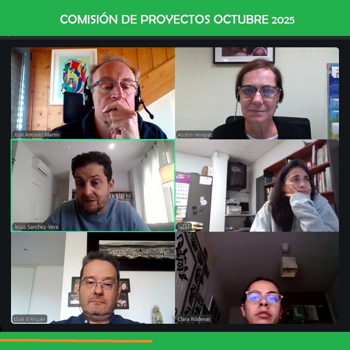 Comisión de proyectos